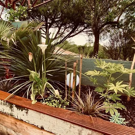 Avec Duo Et Piscine *