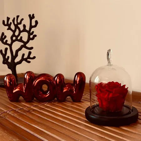 Feriehus Avec Duo Et Piscine