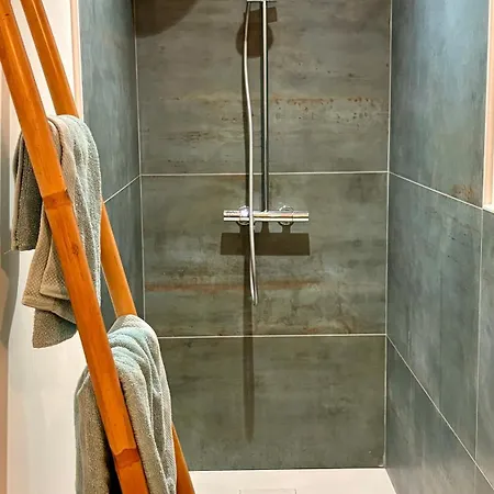 Avec Duo Et Piscine Feriehus Sémussac