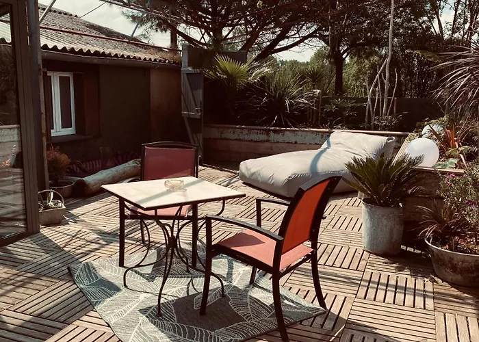 L Sous Les Tropiques Hébergement de vacances