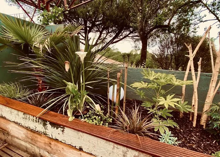 L Sous Les Tropiques *