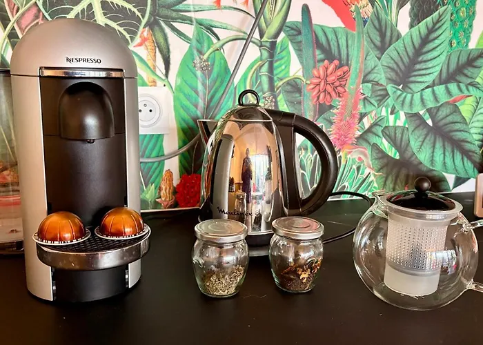 Hébergement de vacances L Sous Les Tropiques Sémussac